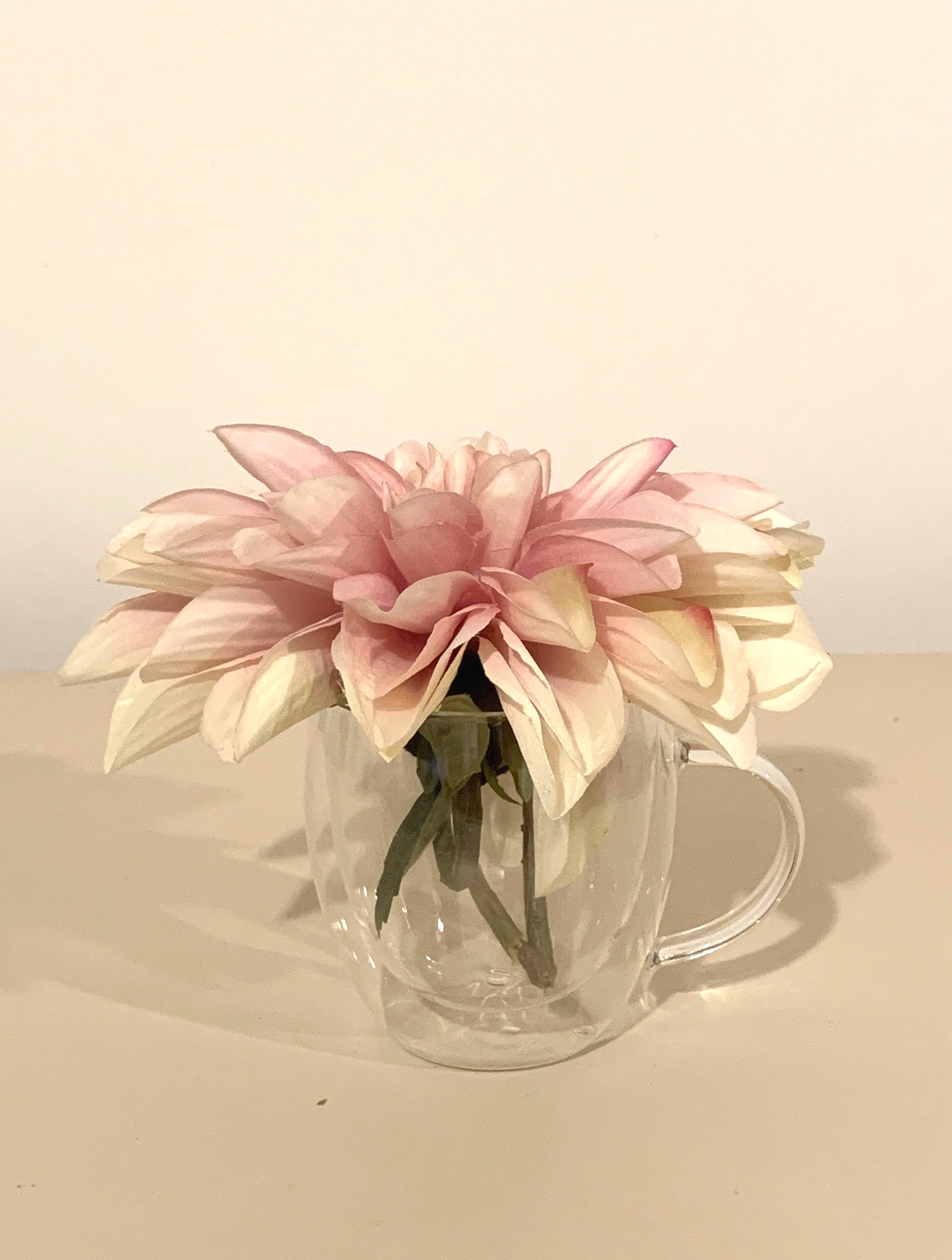 A Cup of Flower