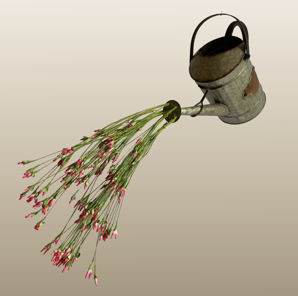 Watering Can 1008 x 1000