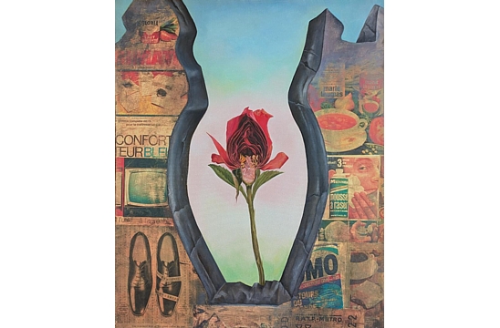 Contemporary Surrealism Feminist Jane Graverol flower vagina collage advertising