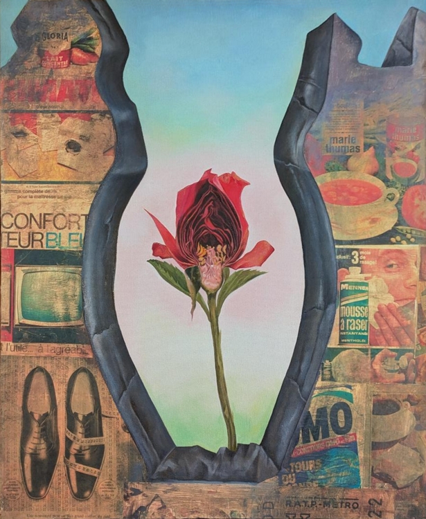 Contemporary Surrealism Feminist Jane Graverol flower vagina collage advertising